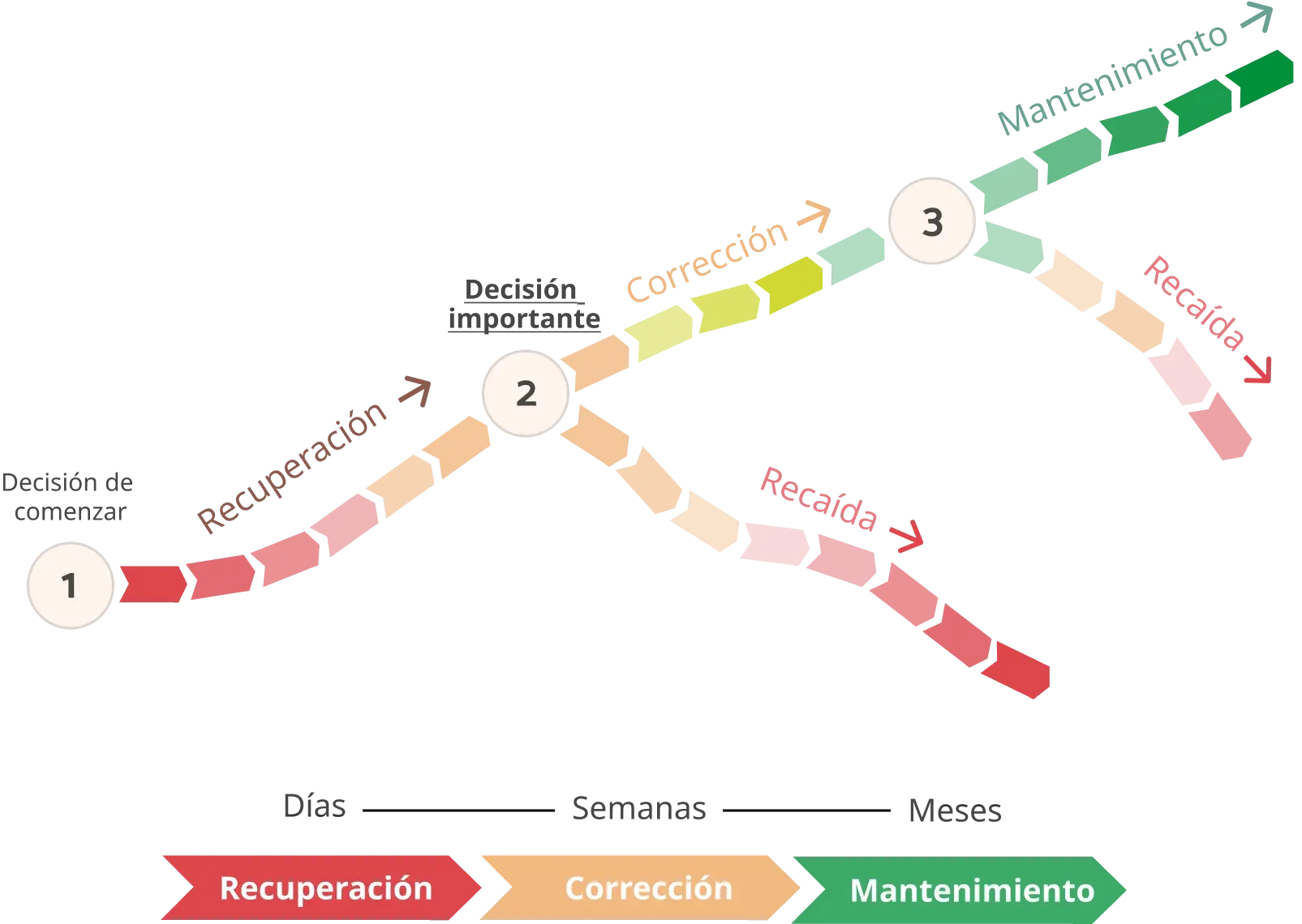 the path to wellness